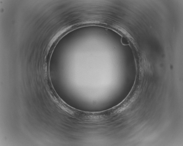 X0000069390933200605121207