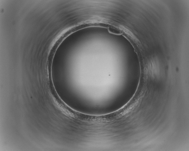 X0000069390934200605121207