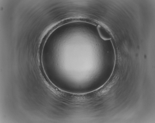 X0000069390935200605121207