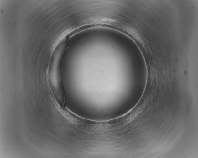 X0000069390936200605121207