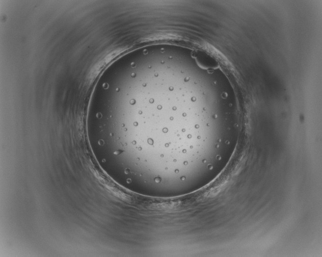 X0000069390937200605121207