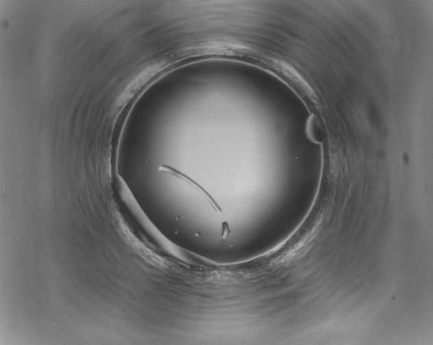 X0000069390938200605121207