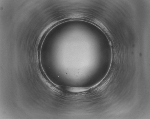 X0000069390939200605121207