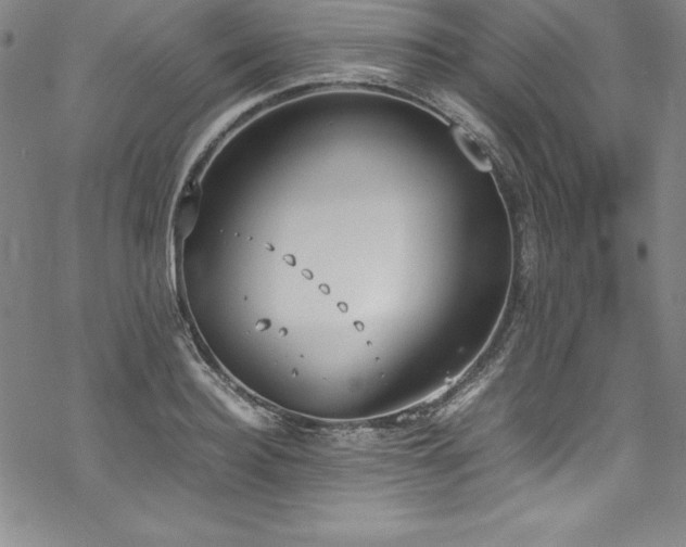 X0000069390940200605121207