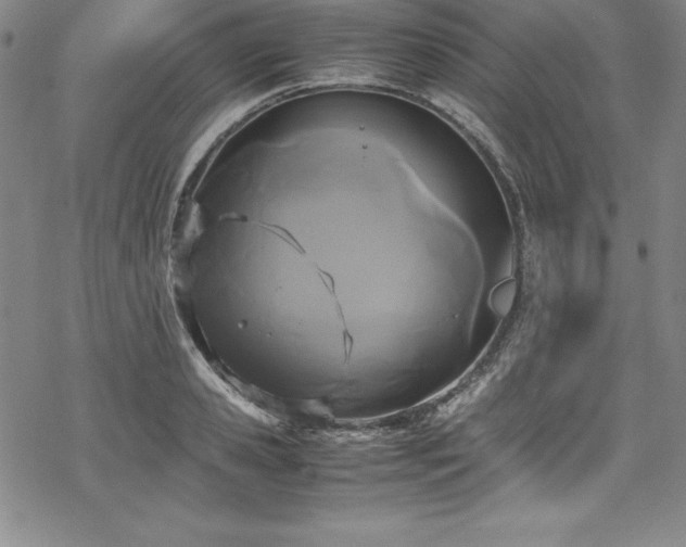 X0000069390941200605121207