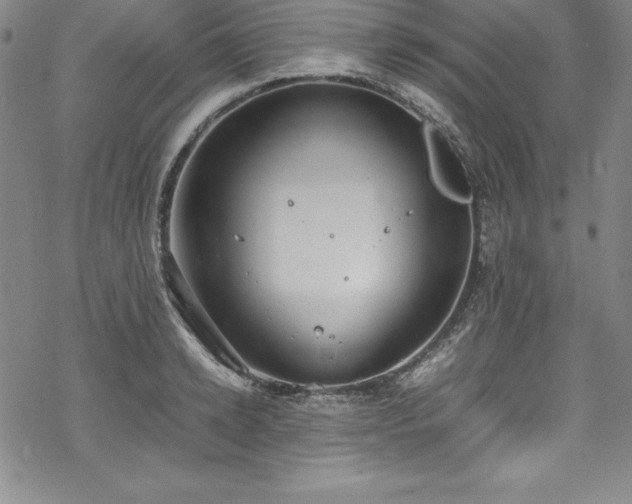 X0000069390942200605121207