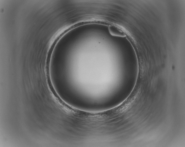 X0000069390943200605121207