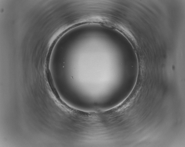 X0000069390944200605121207