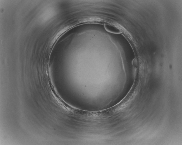 X0000069390945200605121208