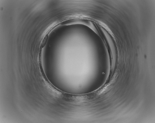 X0000069390946200605121208