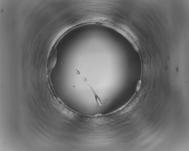 X0000069390948200605121208