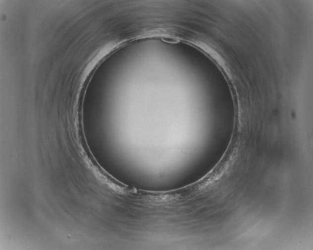 X0000069390949200605121208