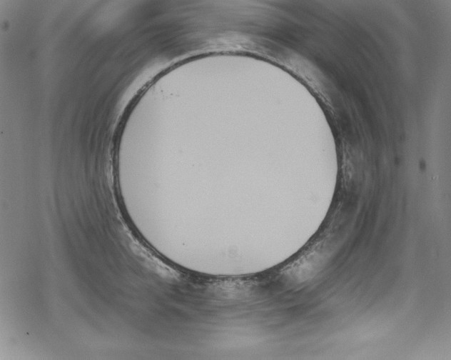 X0000069390950200605121208