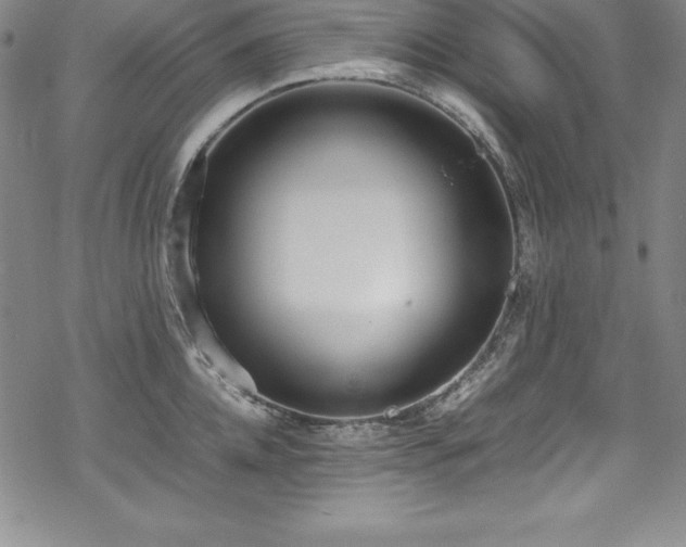 X0000069390952200605121208