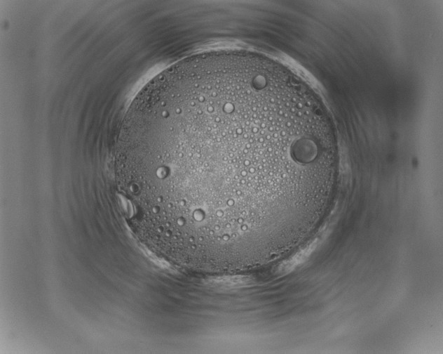 X0000069390953200605121208