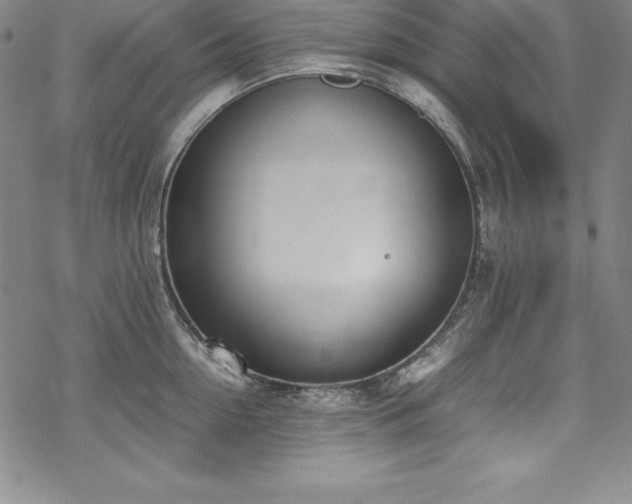 X0000069390954200605121208