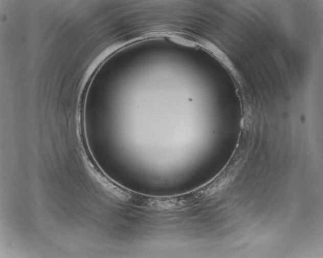 X0000069390955200605121208