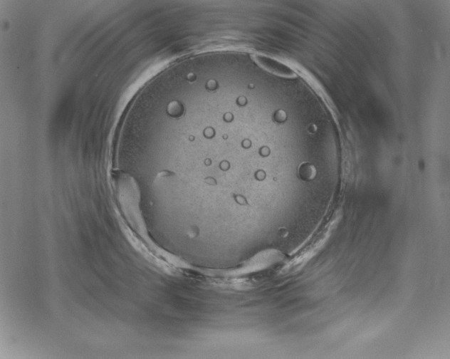 X0000069390957200605121208