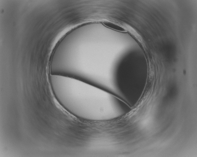 X0000069390958200605121208