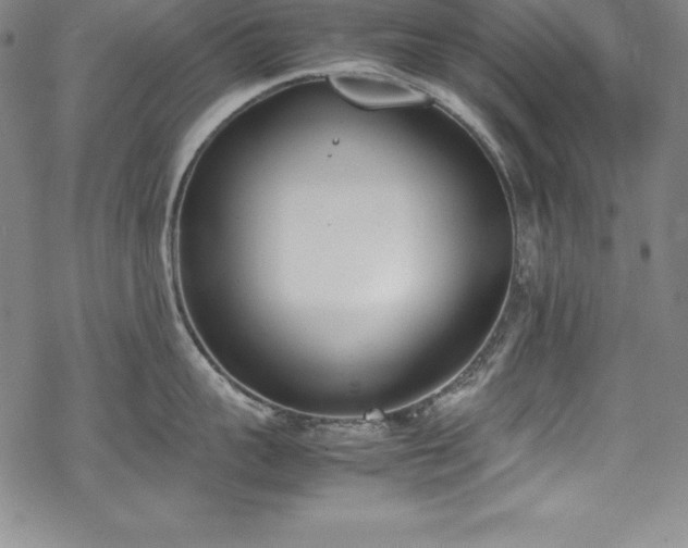 X0000069390959200605121208