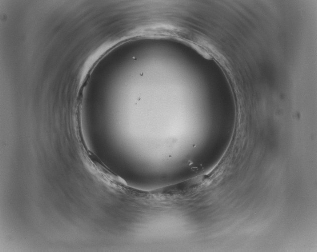 X0000069390960200605121208