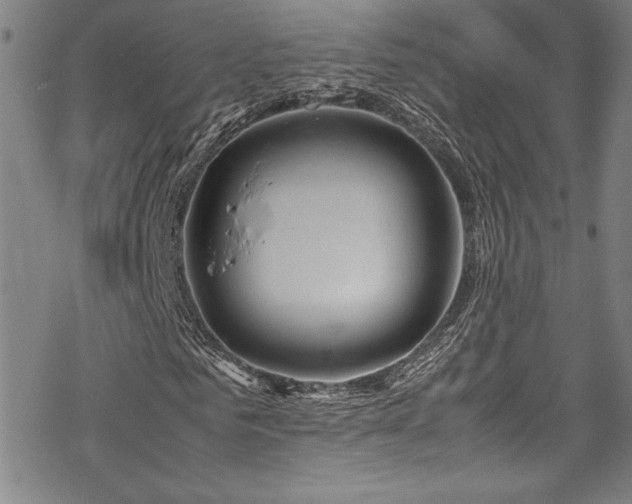 X0000069390961200605121207