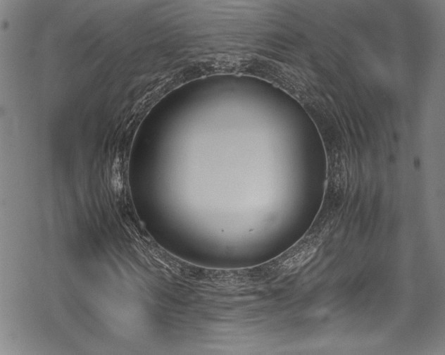 X0000069390962200605121207