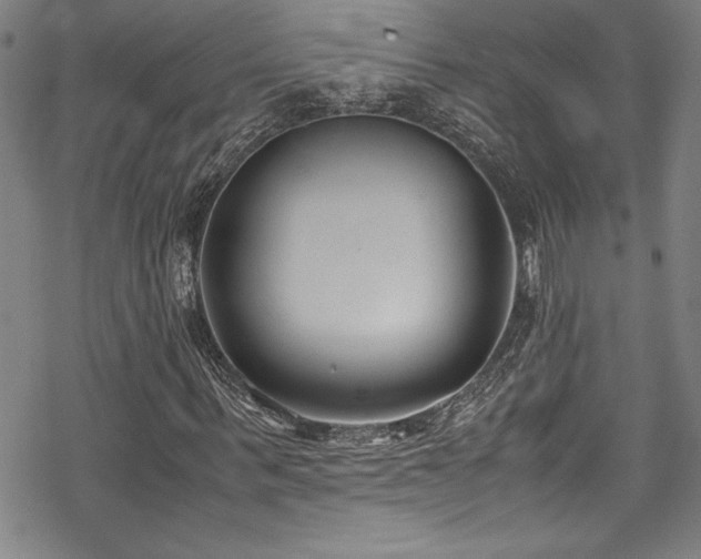 X0000069390963200605121207