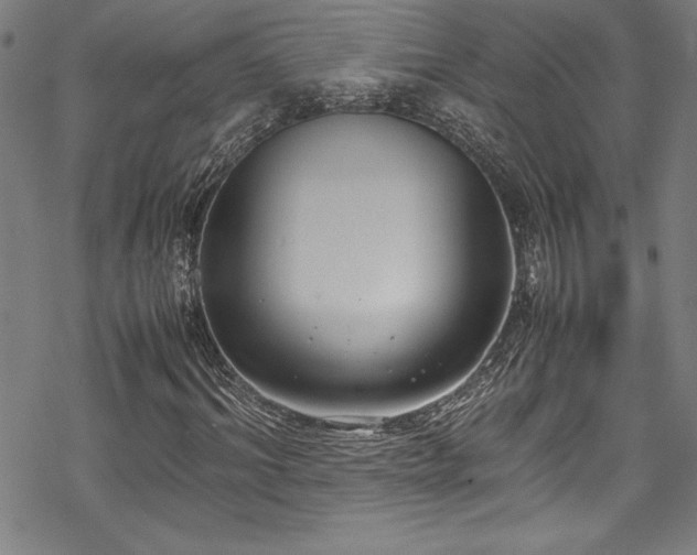 X0000069390964200605121207