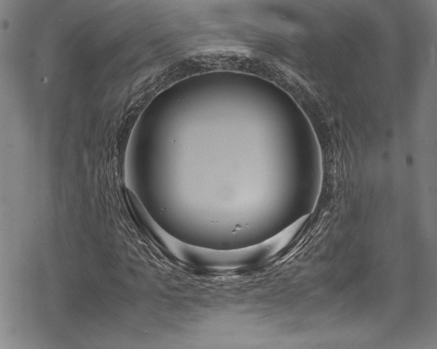 X0000069390965200605121207