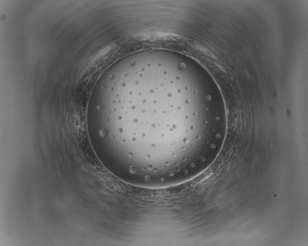 X0000069390966200605121207