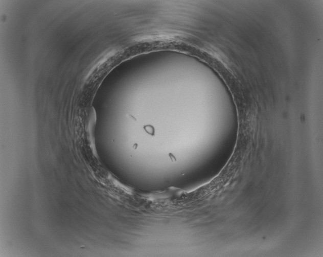 X0000069390967200605121207