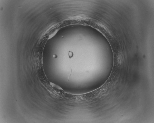 X0000069390968200605121207