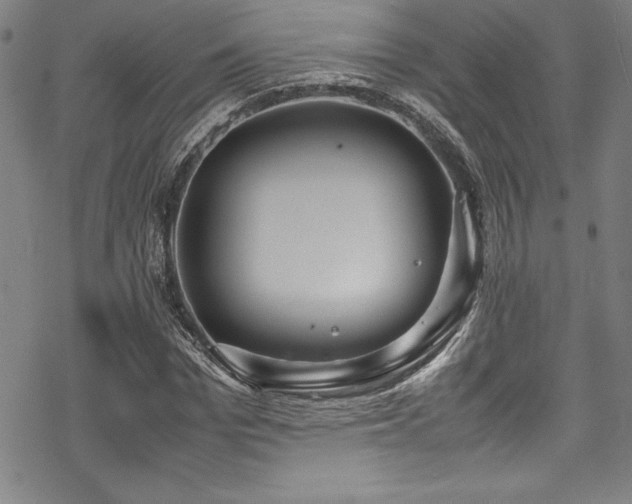 X0000069390969200605121207