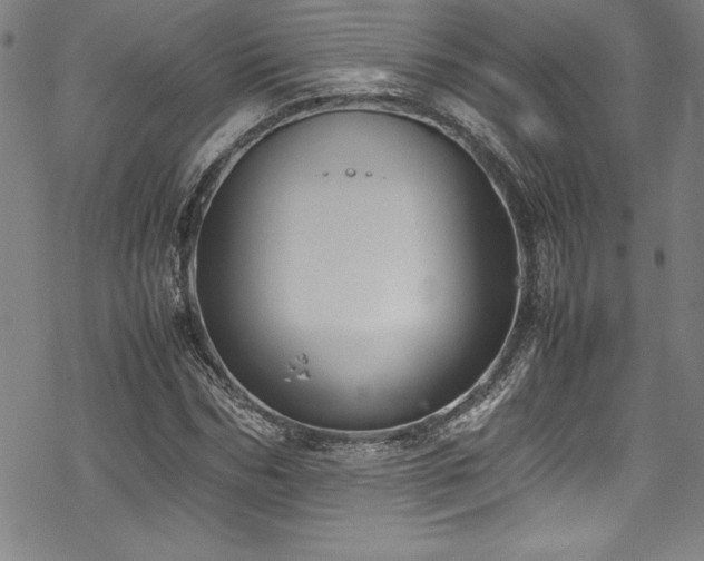 X0000069390970200605121207