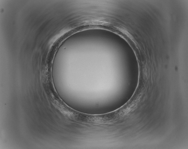 X0000069390971200605121207