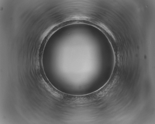 X0000069390972200605121207