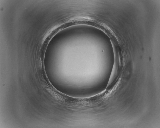 X0000069390973200605121207