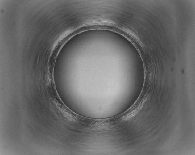 X0000069390974200605121207