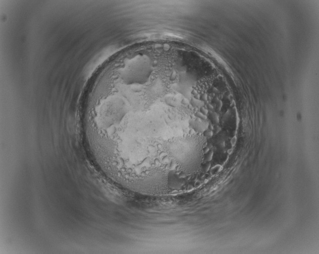 X0000069390975200605121207