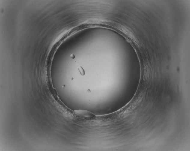 X0000069390976200605121207