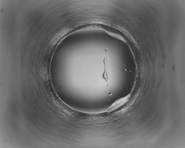 X0000069390977200605121207