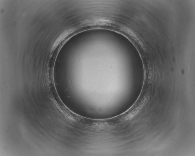 X0000069390978200605121207