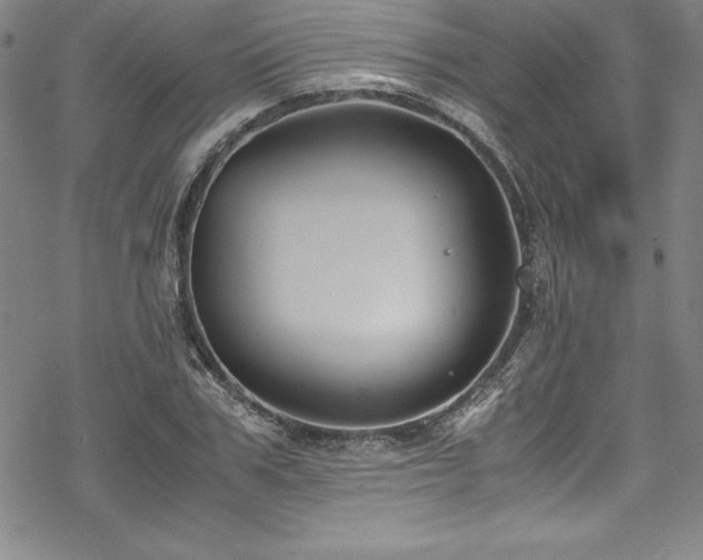 X0000069390979200605121207