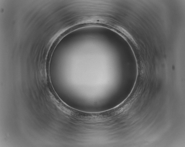 X0000069390980200605121207