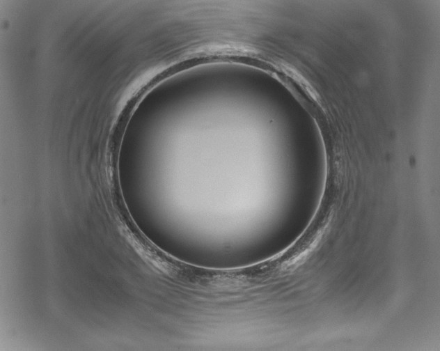 X0000069390981200605121207