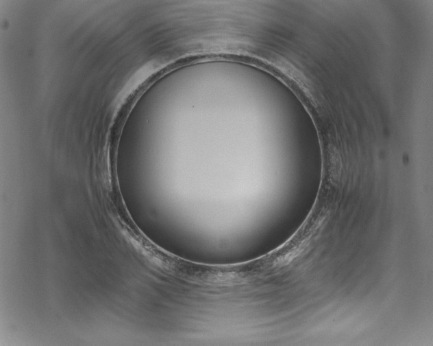 X0000069390982200605121207