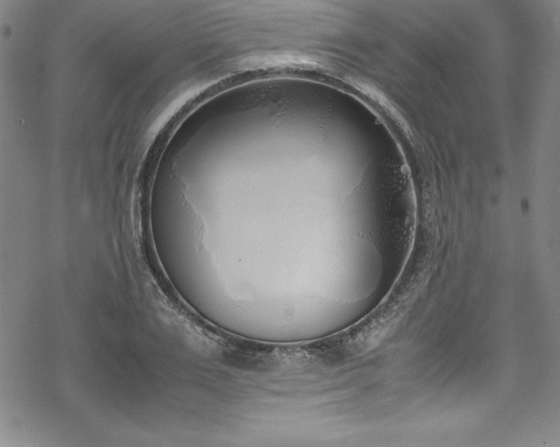 X0000069390983200605121207