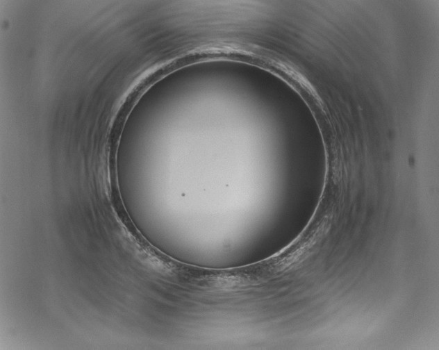 X0000069390984200605121207