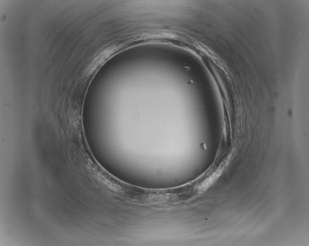 X0000069390985200605121207